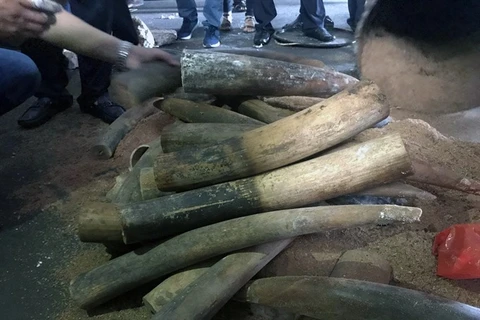 Vietnam’s illegal ivory market is thriving