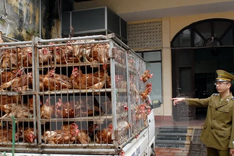 Ministry asks for concerted efforts to prevent poultry smuggling