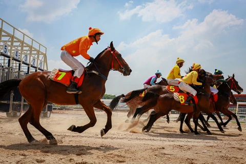 Horse racing course added into Hanoi’s planning