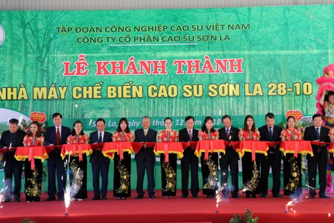 Rubber latex processing plant inaugurated in Son La