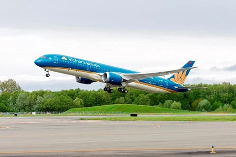 Vietnam Airlines earns pre-tax profit of nearly 2 trillion VND