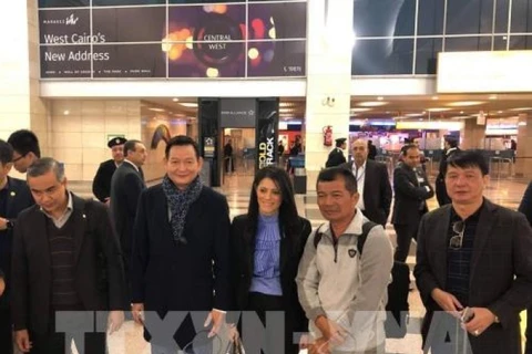 First nine Vietnamese victims of Egypt bomb attack go back home