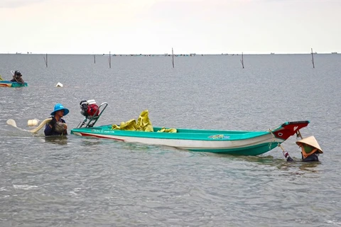 Fishermen in Ca Mau help authorities regenerate marine resources