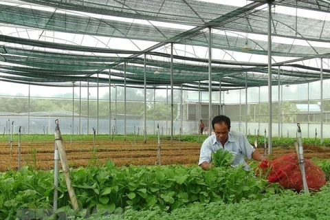2,200 new agricultural firms formed in 2018
