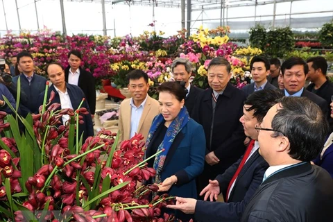 NA Chairwoman visits new-style rural communes in Hung Yen province