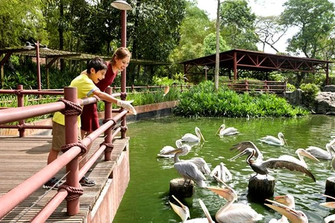 Environmentalists voice concern about Singapore mass eco-tourism project