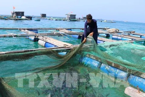 Aquaculture sector looks to sustainable development 