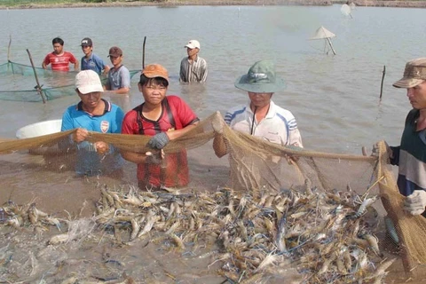 Mekong Delta aims for high-quality agriculture in 2019