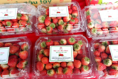Son La strawberry, farm produce week opens in Hanoi 