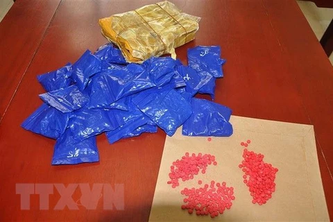 Thanh Hoa province: police bust two drug rings 