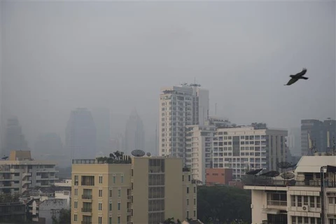 Thailand: Bangkok schools close due to air pollution 
