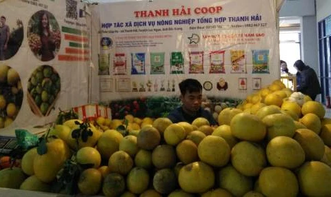 Local staples offered at Hanoi’s spring fair 2019