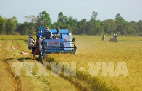 Hau Giang introduces strengths, potential to Japanese investors