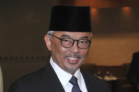 Sultan of Pahang state becomes new king of Malaysia