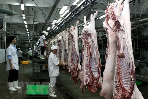 HCM City to open six cattle slaughterhouses