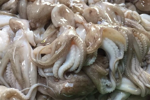 RoK largest export market for Vietnamese squid and octopus