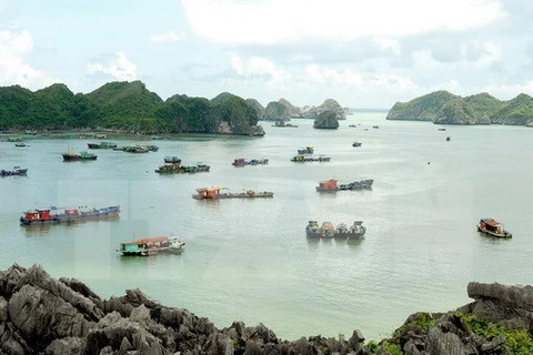 2018 – Successful year for Vietnam’s tourism industry