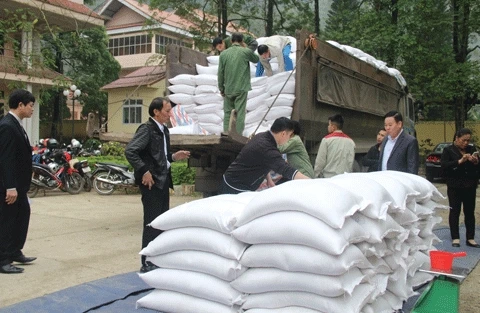 Rice aid reaches over 520,000 impoverished people ahead of Tet