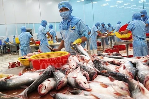 Tra fish exports target 2.4 billion USD