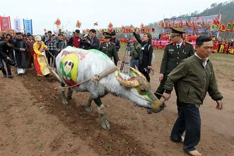 Painting contest held for buffaloes joining ploughing festival in Ha Nam