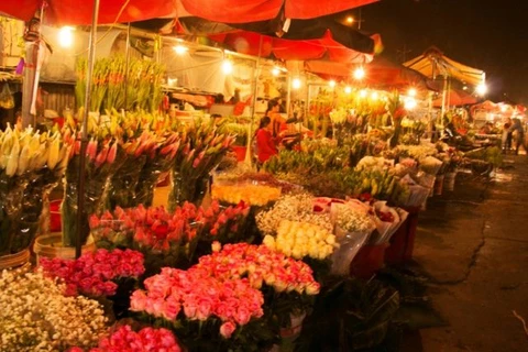 Hanoi flower market among top spots for Lunar New Year celebrations: CNN