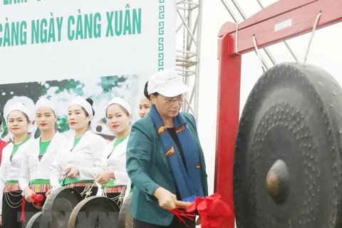 Top legislator launches tree planting festival in Hoa Binh