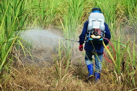 Pesticide products with chlorpyrifos-ethyl, fipronil banned in Vietnam