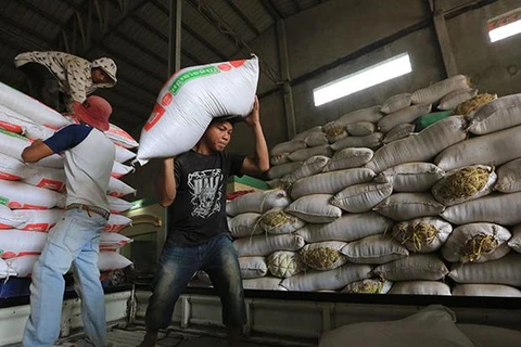 Cambodia’s rice exports continue to decline 