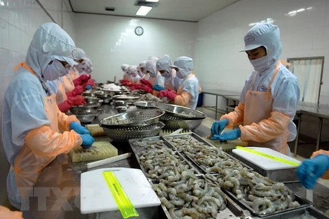 Shrimp exports to RoK expected to rake in 500 million USD