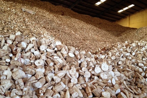 Vietnam to face difficulties in cassava exports