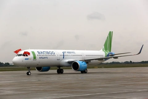 Bamboo Airways to launch more round-trip flights in February 