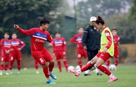 Vietnam teams learn opponents for Olympics, AFC qualifiers