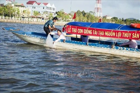 Mass release of aquatic species underway in Kien Giang