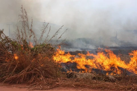 Thailand, Laos launch forest fire prevention campaign