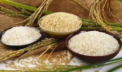 FAO supports Indonesia in organic rice production