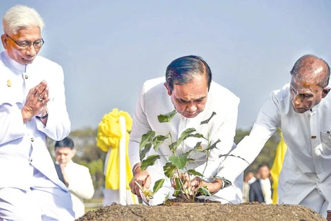 Thai PM plants sapling of sacred Sri Maha Bodhi Tree