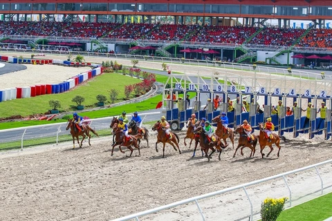 Hanoi authorities to facilitate deployment of horse racetrack project