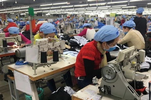 Garment, fishery firms plan production growth this year