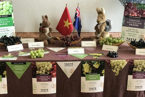 Australia to boost trade ties with Vietnam through table grapes