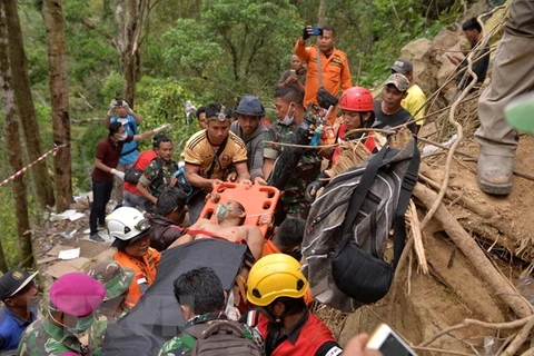 Indonesian rescuers use heavy excavators in Sulawesi mine collapse
