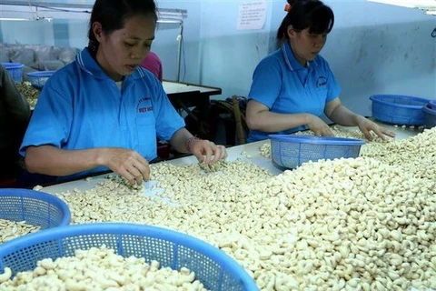 Vietnamese cashew sector seeks to increase export value