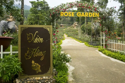 Hanoi Paragon Hill Resort wins three Vietnamese records 