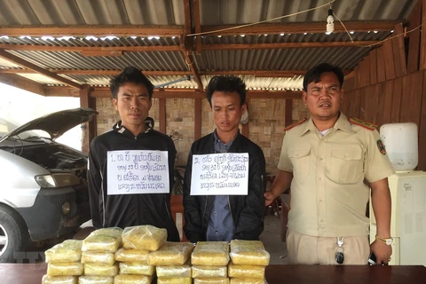 Quang Tri border guards bust trans-national drug trafficking ring
