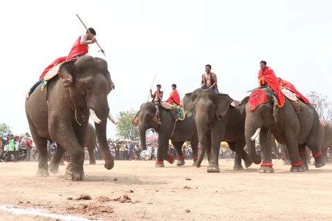 Festivals feature unique culture of ethnic people in Dak Lak