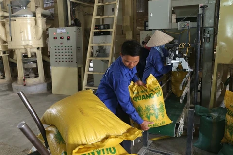 Rice firms face bankruptcy amid trade difficulties