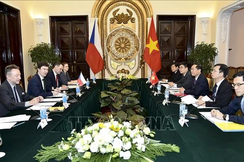 Vietnam, Czech Republic hold political consultation 