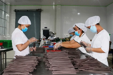 VN-made, eco-friendly straws popular with importers