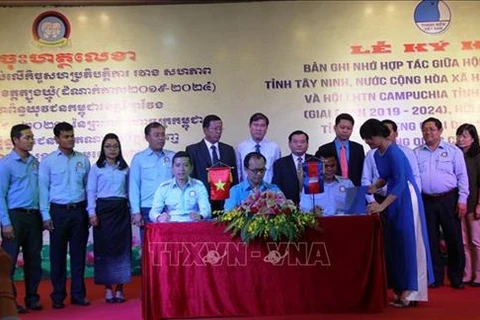 Vietnamese, Cambodian provinces enhance youth’s cooperation