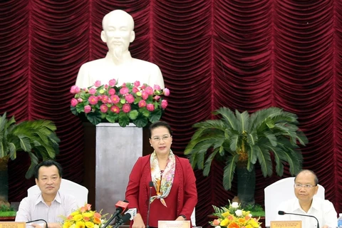 NA Chairwoman reviews Binh Thuan’s socio-economic development 