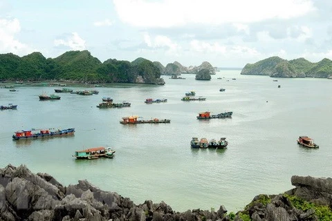 Hai Phong city taps sea, island tourism development